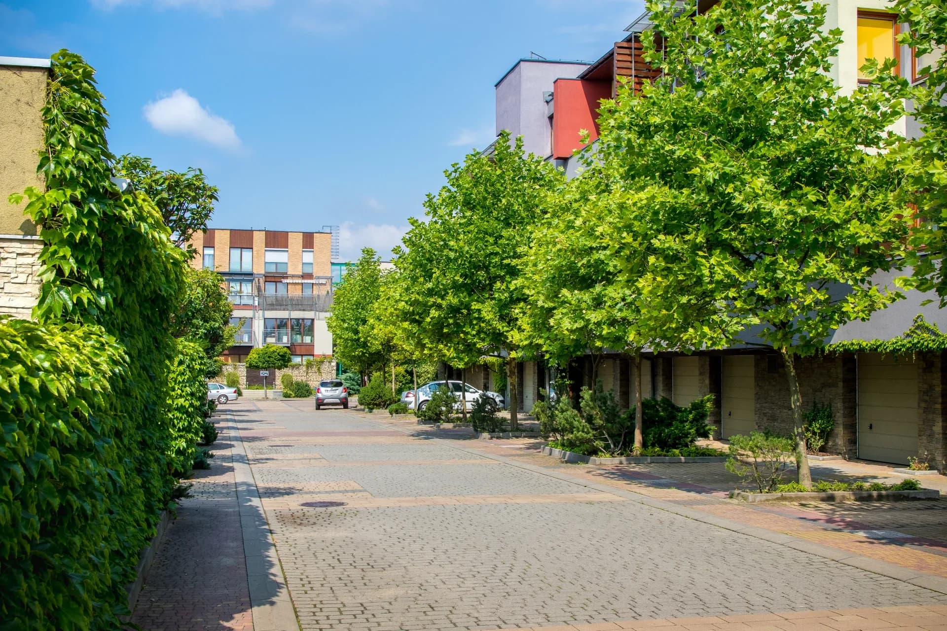 Żwaków