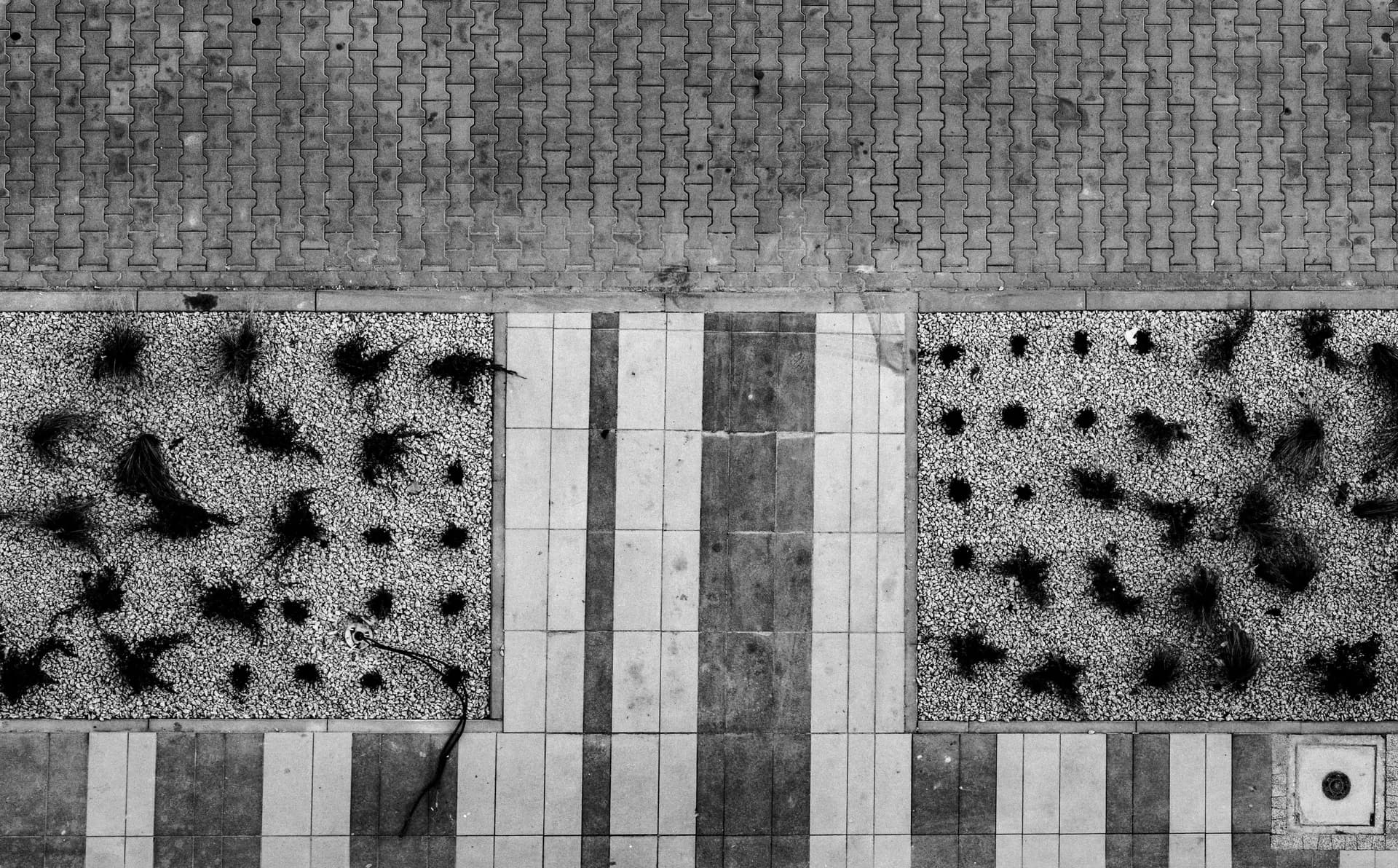 Panorama_best of 3
