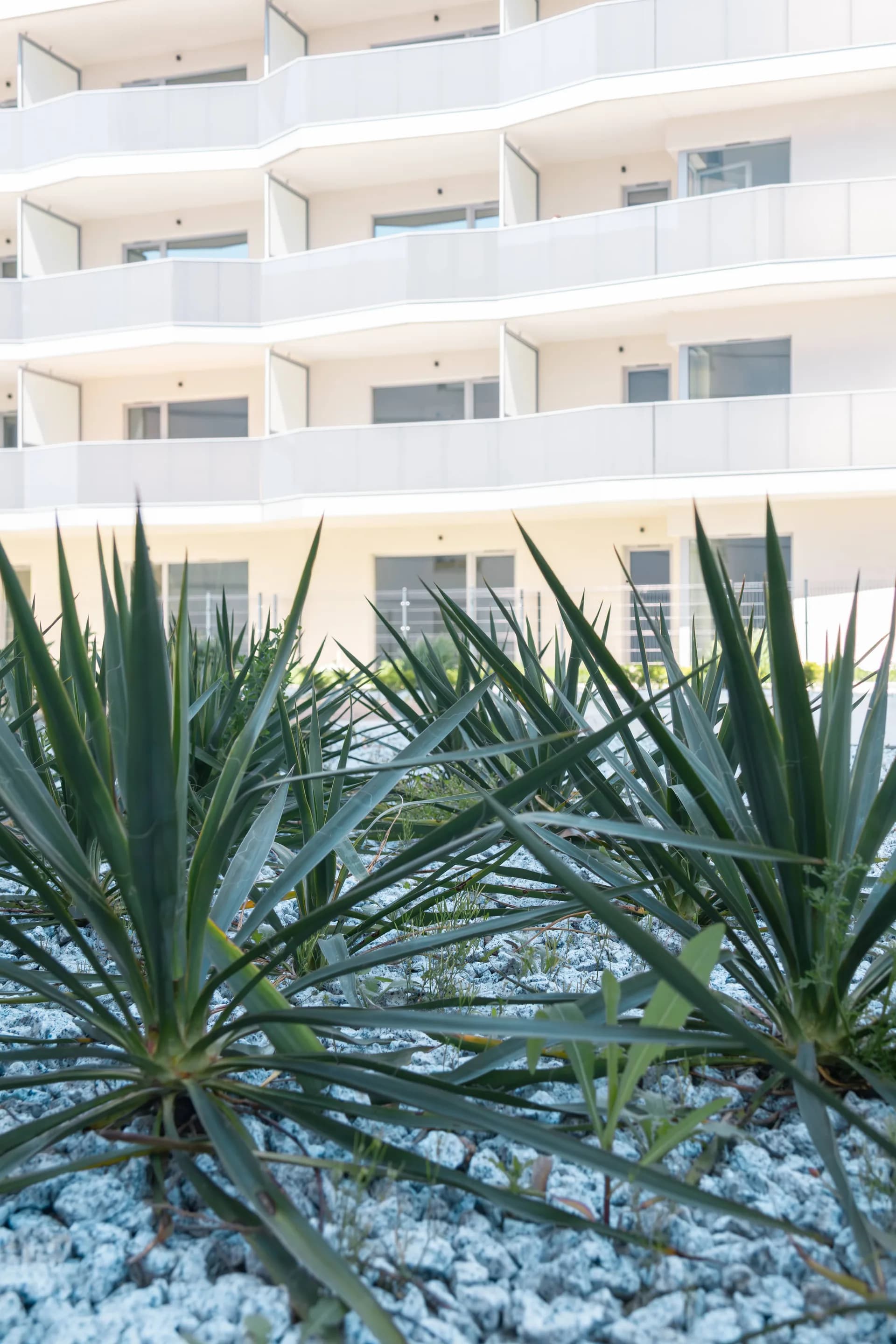 Panorama_best of